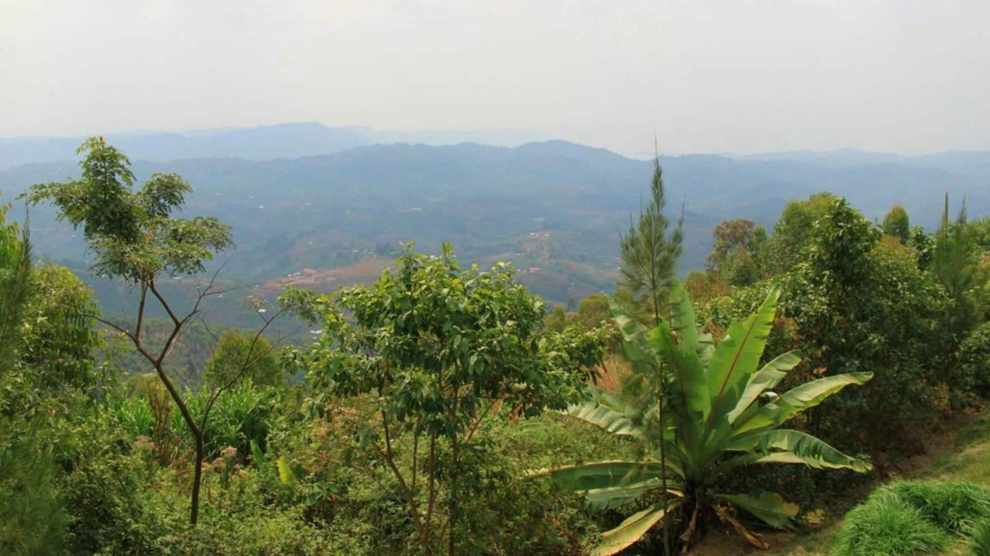 Nyungwe Hill View Hotel Rwumba Exterior photo